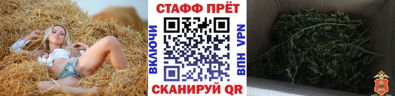 Купить наркотики сайты Камешково Канабис  Альфа ПВП  ГАШ  Лсд 25  МЕФ 