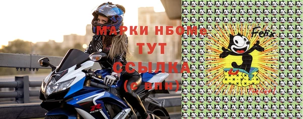 гашик Новодвинск