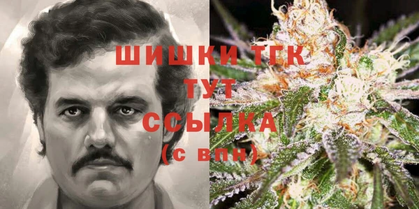 мдма Новозыбков