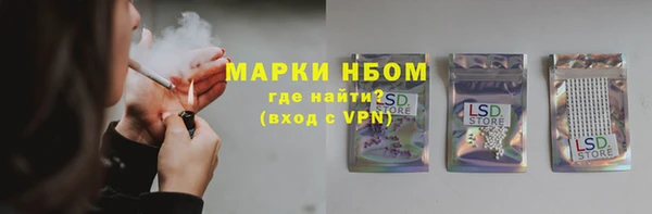 гашик Новодвинск
