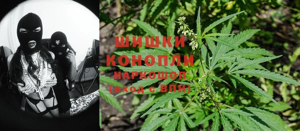 гашик Новодвинск