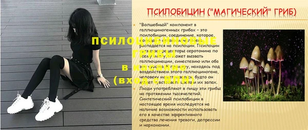 гашик Новодвинск