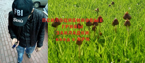 мдпв Белая Холуница