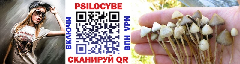 Псилоцибиновые грибы Magic Shrooms  Камешково 